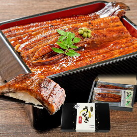 【ライブ視聴＆エントリでP5倍】うなぎ 国産 2尾 約180g(計約360g) 送料無料 蒲焼き ギフト プレゼント 2025 ウナギ 鹿児島 無投薬 風呂敷 鰻 冷凍 unagi プレミアム 山田水産 夏ギフト 鰻 ウナギ うなぎ うなぎ 国産