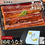 父の日 ギフト うなぎ 国産 2尾 3尾 鰻 プレゼント 送料無料 蒲焼き 2人前 3人前 鹿児島 無投薬 山田水産…