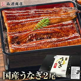 ギフト うなぎ 国産 2尾 3尾 鰻 プレゼント 送料無料 蒲焼き 2人前 3人前 鹿児島 無投薬 山田水産 125g 150g 180g 3種セット 真空パック 冷凍 食品 土用丑の日 お中元 夏ギフト unagi