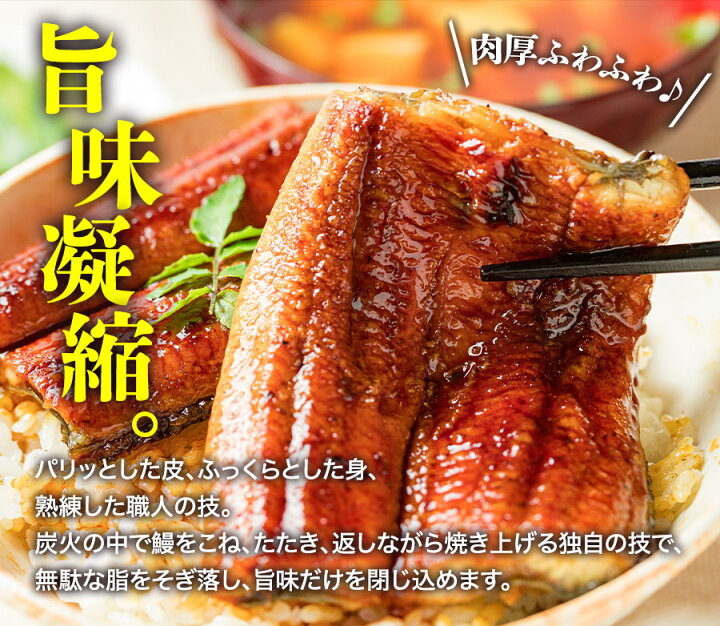 送料無料 鹿児島県産鰻蒲焼2尾セット 国産うなぎ お中元 国産ウナギ 御中元 贈り物 国産鰻 夏ギフト 送料無料 鹿児島県産鰻蒲焼2尾セット 国産うなぎ お中元 国産ウナギ 御中元 贈り物 国産鰻 夏ギフト