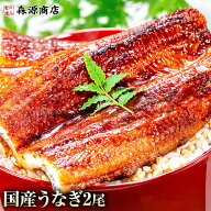 うなぎ 国産 2尾 約150g （計約300g）鹿児島県産 無投薬 鰻 送料無料 うなぎ ウナギ 蒲焼 かば焼き スタ…