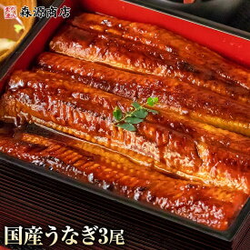 うなぎ 国産 3尾 約150g （計約450g） 無投薬 鹿児島県産 鰻 送料無料 うなぎ ウナギ 蒲焼 かば焼き スタミナ 夏 ギフト プレゼント 鰻 ウナギ うなぎ 鹿児島県