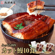 うなぎ カット 小分け 10食 800g 鰻 個包装 うなぎ蒲焼 鰻蒲焼 ひつまぶし うな重 冷凍 ギフト 土用丑の…