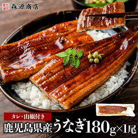 選べる本数 うなぎ 国産 送料無料 無投薬 1尾 約125g~約180g 鹿児島 ウナギ 蒲焼き 山田水産 冷凍 真空パック 食品 夏ギフト 鰻 ウナギ 2尾 3尾 4尾