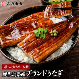 選べる本数 うなぎ 国産 送料無料 無投薬 1尾 約125g~約240g 鰻 鹿児島 蒲焼き 山田水産 冷凍 真空パック 食品 夏ギフト 2尾 3尾 4尾 土用丑の日 お中元