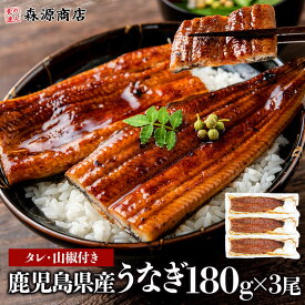 うなぎ 国産 送料無料 無投薬 約180g × 3尾 鹿児島 ウナギ 蒲焼き 山田水産 冷凍 真空パック 食品 unagi ギフト プレミアム プレゼント 夏ギフト お中元 ギフト うなぎ 御中元 鰻 ウナギ うなぎ