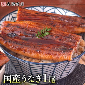 ＼15日限定★エントリ＆抽選で100%ポイントバック！／ 選べる本数 うなぎ 鹿児島県産 1尾 約125g 国産 蒲焼き 長焼き 無投薬 焼き上げ 無頭 1本 うなぎ 国産 鰻ウナギ 2尾 3尾 4尾