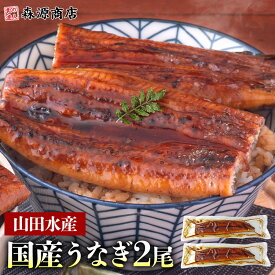 うなぎ 鹿児島県産 2尾 約125g×2 国産 蒲焼き 長焼き 無投薬 焼き上げ 無頭 2本 ギフト うなぎ 国産 鰻 ウナギ うなぎ