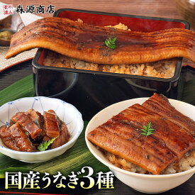 うなぎ 鹿児島県産 3種セット 長焼き 刻み カット 食べ比べ 合計320g 鰻 ウナギ 国産 無投薬 お中元 うなぎ 国産 御中元 鰻 ウナギ うなぎ