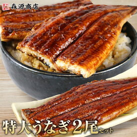 うなぎ 2尾 セット 約200g×2 特大サイズ 鰻 ウナギ 蒲焼き かばやき 山椒 たれ付 土用丑の日 お中元