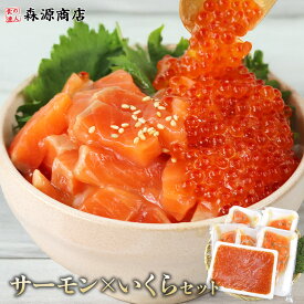 サーモン いくら セット 出汁漬けサーモン 400g トラウトサーモン 250g 丼 海鮮丼 お中元 ギフト プレゼント