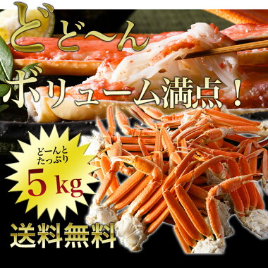 蟹/ずわいがに5kg/ボイルズワイガニ脚/かに訳あり/カニ訳あり送料無料/かにむき身/ずわい蟹/ズワイガニ5kg