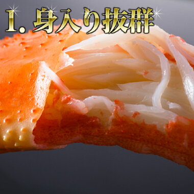 蟹/ずわいがに5kg/ボイルズワイガニ脚/かに訳あり/カニ訳あり送料無料/かにむき身/ずわい蟹/ズワイガニ5kg