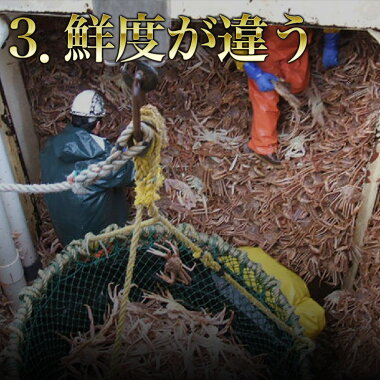 送料無料【超特大】ボイルずわい蟹5kg/ボイルズワイガニ脚どっさり食べ放題♪蟹(カニかに)_鍋_業務用_大盛り_ズワイガニ訳あり食べ放題/カニ訳あり/送料無料蟹脚《※冷凍便》【あす楽対応】_02P08Feb15