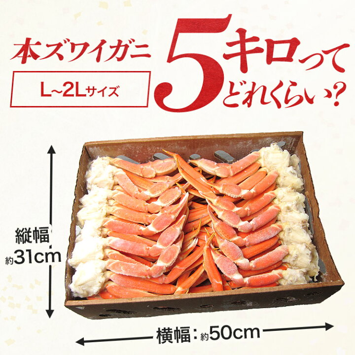 楽天市場】訳あり ボイル ズワイ蟹 カニ脚 5kg L〜2Lサイズ 業務用 か  