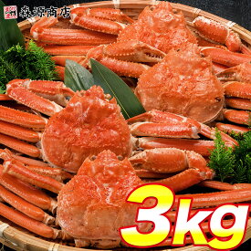 姿ずわいがに 3kg 5〜7尾 蟹 カニ かに ずわいがに ズワイガニ カニミソ かにみそ 蟹味噌 業務用 お中元 ギフト プレゼント 御中元