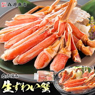カット済み カニ 特大 400g〜 600g 総重量700g 生ずわい蟹 かに鍋 焼き蟹 セット 生食可 ずわいがに ズワ…