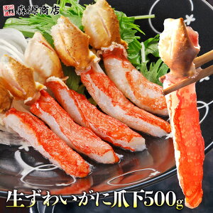 킢I ܉ n[t|[V 500g  I Jj YCKj Mtg v[g