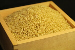 農薬・化学肥料不使用米 特別栽培米 令和7年産佐賀県産つや姫 玄米30kg【5kg×6袋】