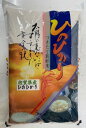 令和7年佐賀県産ひのひかり10kg【5kg×2個】