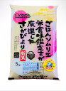 【15年連続特A取得】　無洗米　さがびより　10kg（5kg×2個)