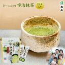 さ〜っととける宇治抹茶スティック 25本入り 抹茶粉末 抹茶パウダー 宇治抹茶 マイボトル 森半 抹茶 グリーンティー 粉末 お茶 スティック 個包装 京都 緑茶 宇治茶 日本茶 水出し 粉末緑茶 健康 おいしい カテキン テアニン カフェイン ファミリー