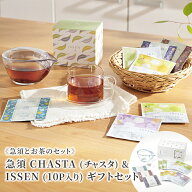 【 ISSEN リニューアル 】送料無料 急須 CHASTA ( チャスタ ) ISSEN(10P入り)ギフト | 煎茶 ハーブティー…