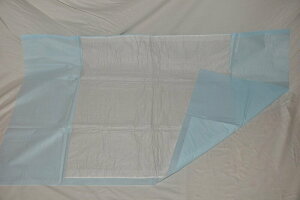 ELV[gV[c₩25ZbgiLYzɂALALVbg_EI삳ɂ₩jLʐł(^^傫ȃV[cő