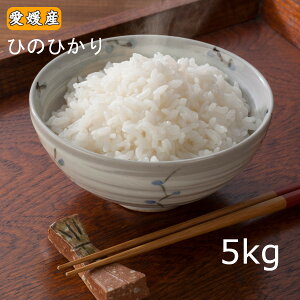  5kg uQY Ђ̂Ђ 5kgv ߘa7NY  5L  kC.k.zs