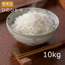 楽天市場】ヒノヒカリの通販