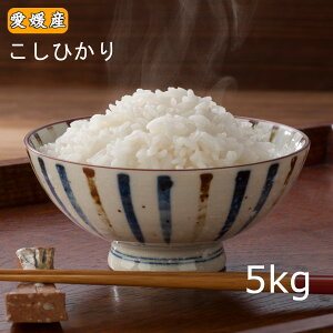yVāz 5L uQY Ђ 5kgvߘa7NY  yzkC.k.zs