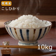 【DEAL20％】米 10kg お米 10キロ 「愛媛県産 こしひかり 10kg 」令和7年産 白米 送料無料 ※北海道.東北…