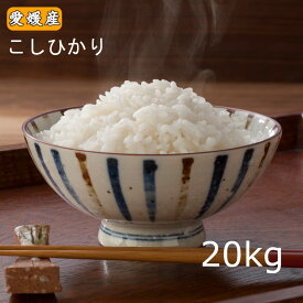 米 お米 20キロ 「愛媛県産 こしひかり 20kg(10kg×2)」令和5年産 白米 送料無料 ※北海道.東北.沖縄配送不可