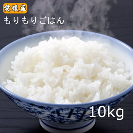 お米 「もりもりごはん10kg 」 業務用 白米 米 10キロ 精米 ブレンド 米 10kg 愛媛県産 送料無料 ※北海道.東北.沖縄配送不可