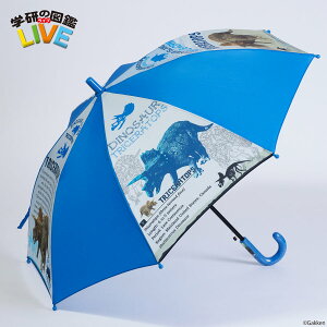 P LbY J JP c wN P  qp w̐}ӃCu  gPgvX 4] vg j̎q JT P qǂ qP P LbY 50cm i8{j^b` W