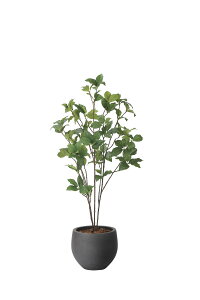 i`TThE_1.0m G}lHA Xg[v^[ i` bNX  L R h A[gO[