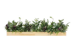 lHϗtA Ebh{bNXDX tFCNO[ G} L R h A[gO[ i`  CeA Xܗp Ɩp Ԏd؂ 90cm  ԉo 