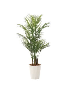 AJp[1.35m(|j G}lHA tA^Cv O[V[Y i` bNX  L R hA[gO[