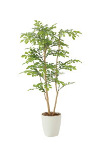 lHϗtA  Ɩp { ItBX X  tFCN O[ A  CgglR1.0m G}lHA tA^Cv O[V[Y i` bNX  L 