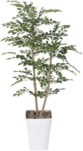 lHϗtA glR 1.2m tFCNO[ G} L R h X ItBX Ɩp  CeAO[ AȊϗtA tA^Cv  ϗt lH ϗtA 