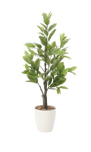 lHϗtA  1.0m G}H tFCNO[ A[gO[ tA^Cv A  Xܑ ItBX { Ɩp i`O[  L R h Ce