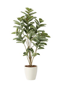 lHϗtA  Ɩp { ItBX X  tFCN O[ A  AeV}DX1.6m G}lHA tA^Cv O[V[Y i` bNX  L R