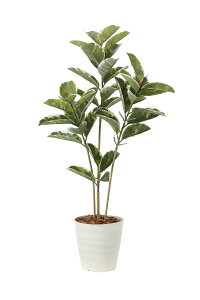 lHϗtA AeV} 1.2m G}H tFCNO[ A[gO[  tA^Cv Xܑ  ItBX Ɩp {ݗp i`O[  R L h A