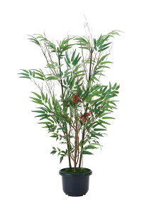 lHϗtA  Ɩp { ItBX X  tFCN O[ A  |&V1.0m G}lHA a^Cv O[V[Y i` bNX  L R h 