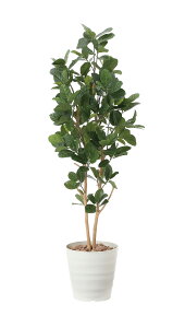 �p���̖�1.6m ���G�}�l�H�A�� �t���A�^�C�v �O���[���V���[�Y �i�`�������� �����b�N�X ���� ���L �R�� �h�� �A�[�g�O���[��