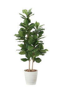 tFCNO[ G} JVoS 1.6m lHϗtA ^ tA^Cv A CeAO[   C L R h    ItBX X 