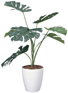 Xe90cm G} lHϗtA  Ɩp { ItBX X  tFCN O[ A tA^Cv O[V[Y i` bNX  L R h A[