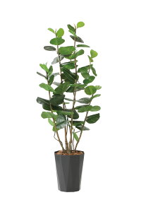 V[O[vDX1.7m G} lHϗtA  Ɩp { ItBX X  tFCN O[ A tA^Cv O[V[Y i` bNX  L R h 