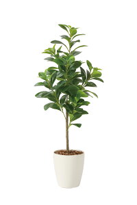 tbV}l[c[90cm G} lHϗtA  Ɩp { ItBX X  tFCN O[ A tA^Cv O[V[Y i` bNX  L R