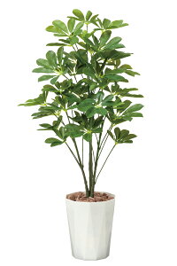 VFt90cm G} lHϗtA  Ɩp { ItBX X  tFCN O[ A tA^Cv O[V[Y i` bNX  L R h A[